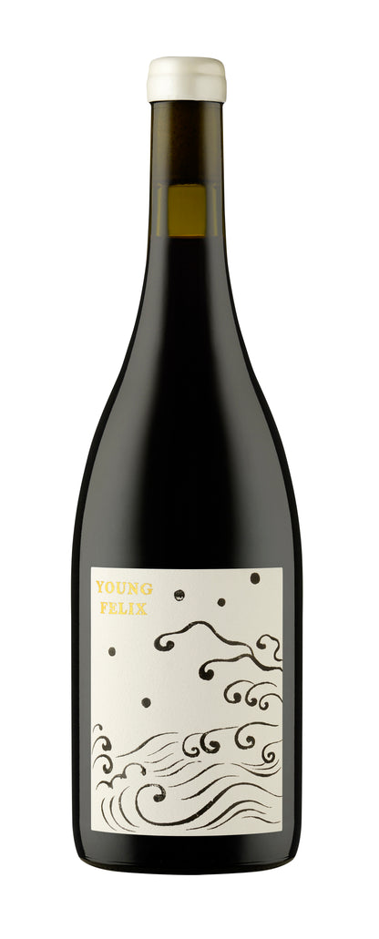 2024 Young Felix Shiraz