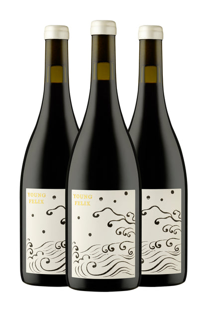 2024 Young Felix Shiraz