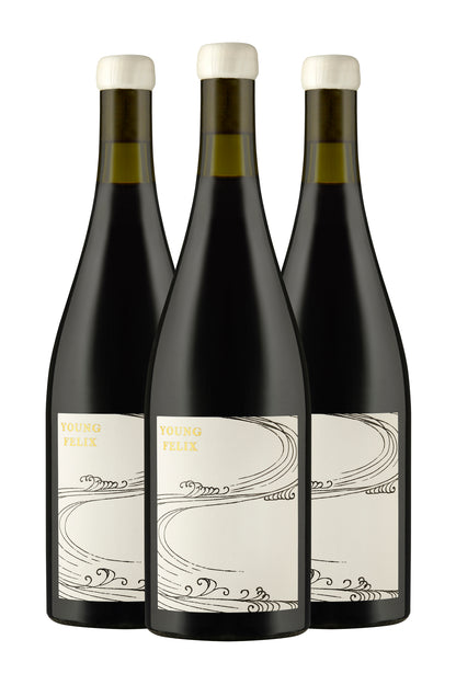 2025 Young Felix Shiraz Grenache